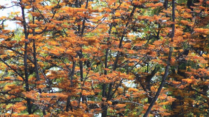 Around......Griffith Observatory  Los Angeles, Ca