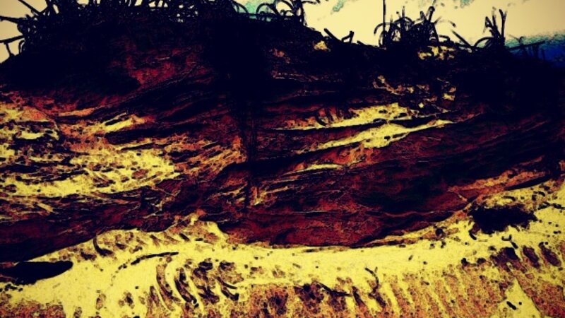 Little talbot Island