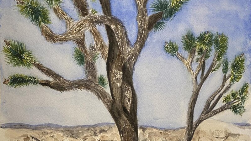 Joshua Tree National Park