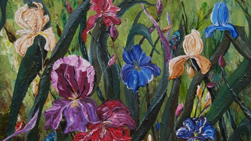 “Iris Field”