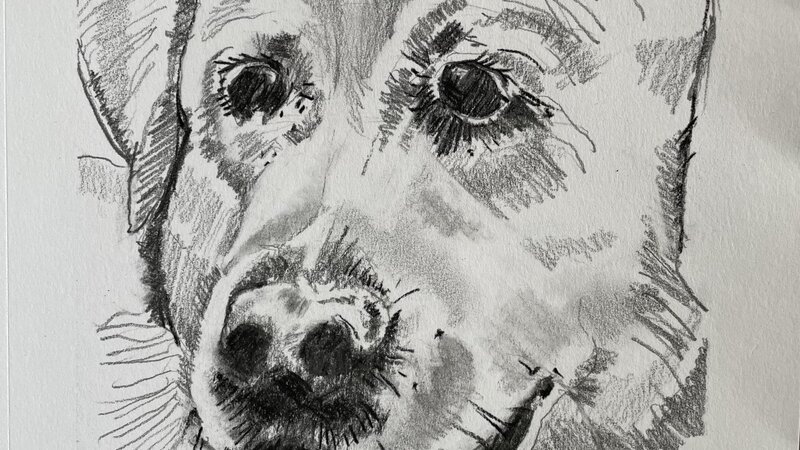 Graphite and charcoal on paper