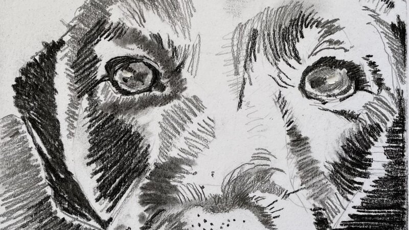 Graphite and charcoal