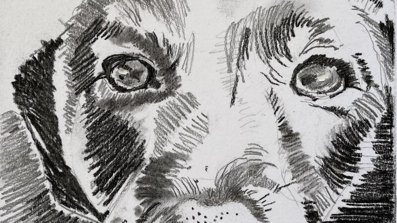 Graphite and charcoal