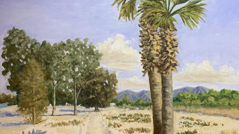 Sunny day in Tucson