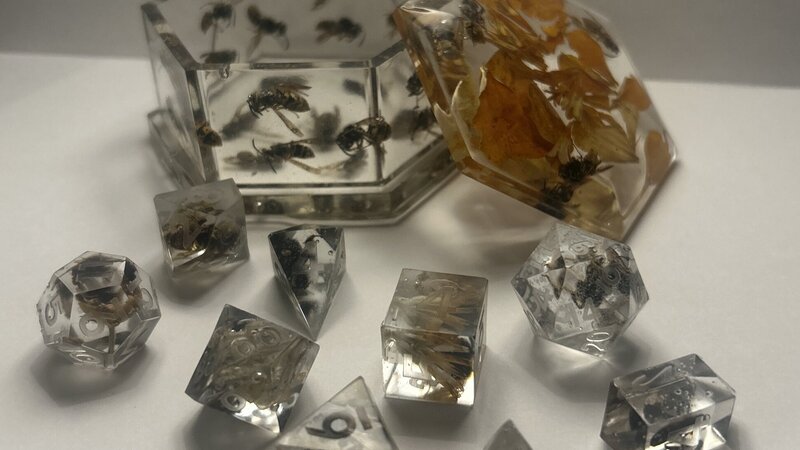 An open box, and set of dice, each carrying within a tiny wasp or bee.