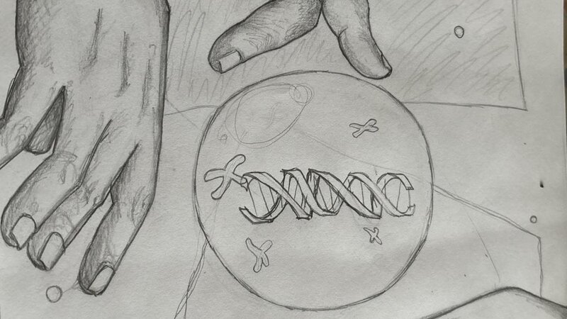 Graphite Pencil on Paper