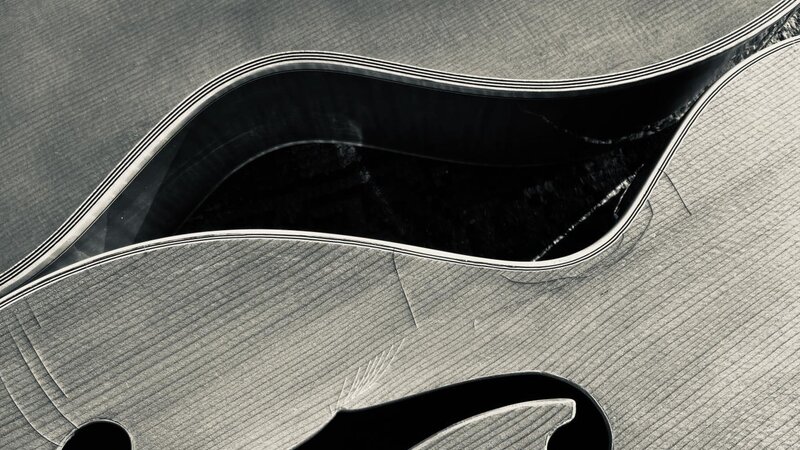 Photo of archtop jazz guitars 2024