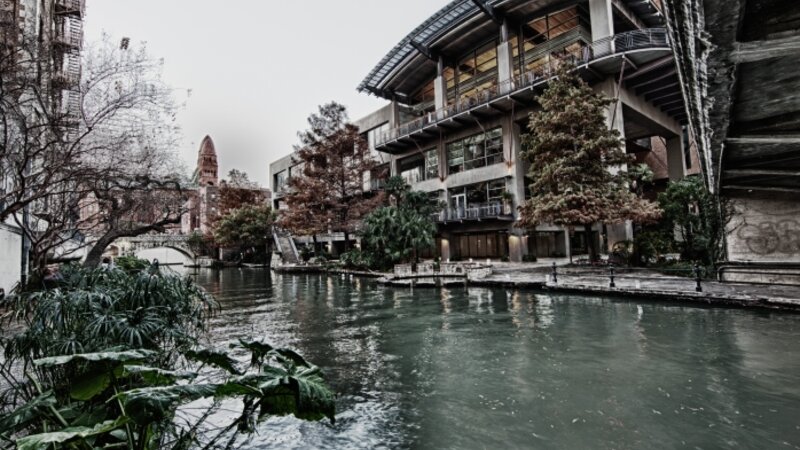 The International Building