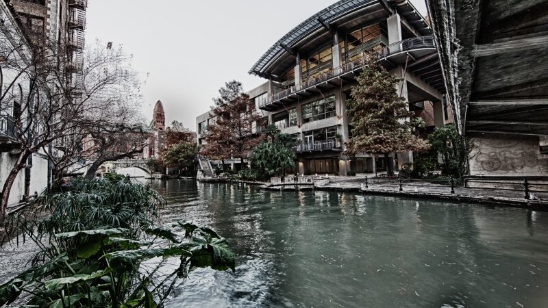 The International Building