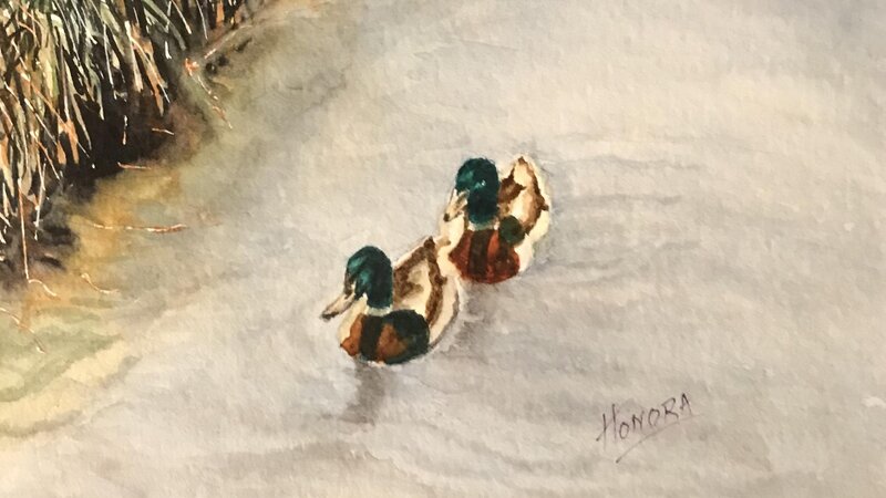 Two Mallard Ducks