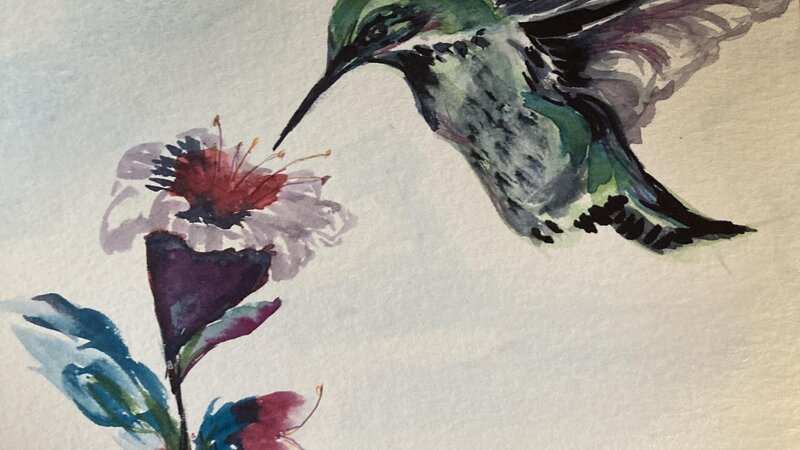 hummingbird and flower