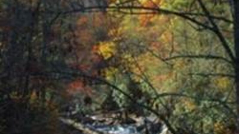 Smokey Mountain Stream