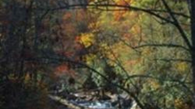 Smokey Mountain Stream