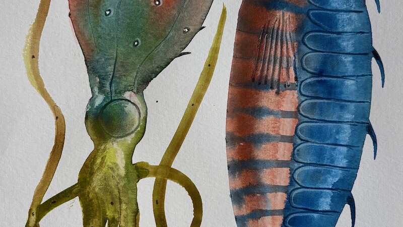 Painting in gouache and colored pencils, May, 2025.