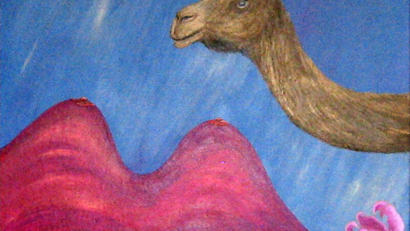 In Search Of Two Humps