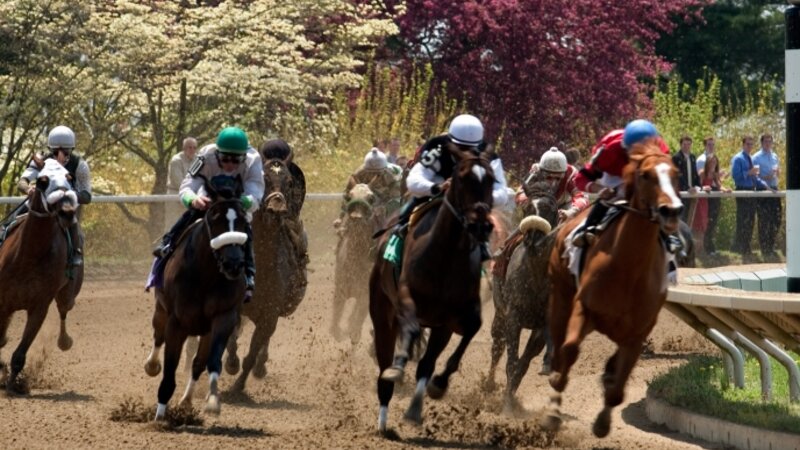 Spring Meet