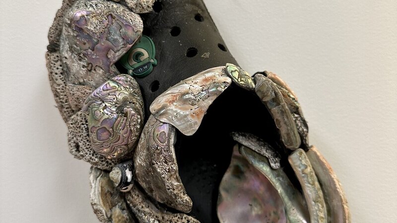 Croc with abalone shells.