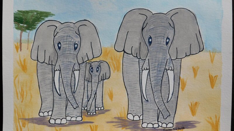 Elephant Family