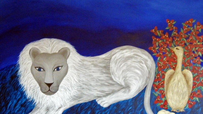 King Of The Bougainvillea