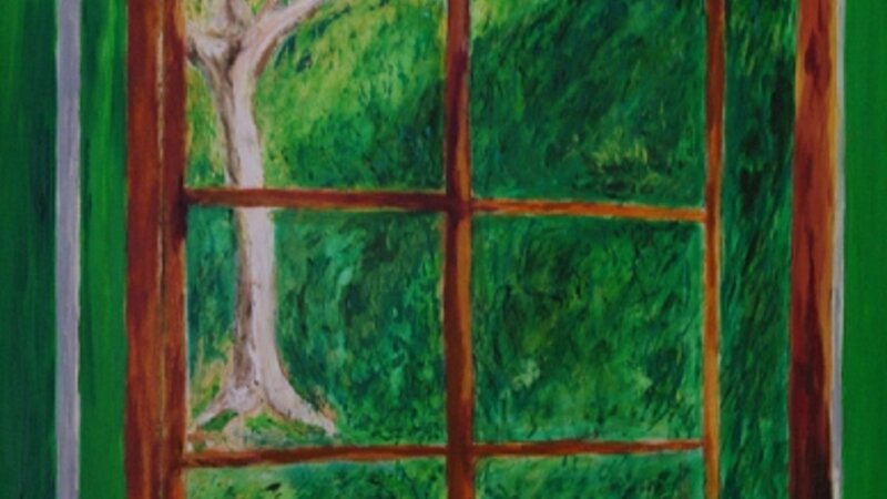 Kitchen Window
