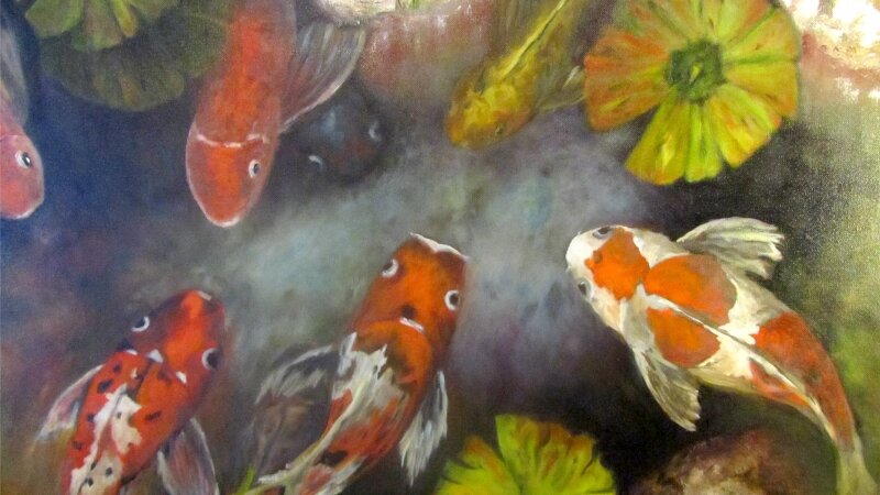 KOI Pond