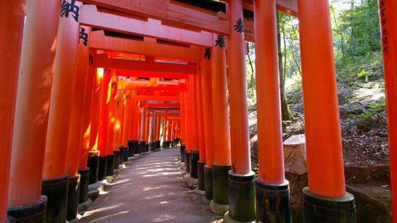 The Fushimi Inari-taisha Temple