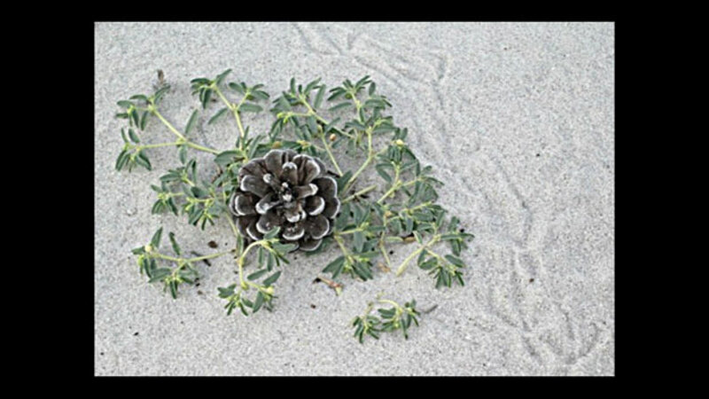LBI Before Sandy - September 2012 