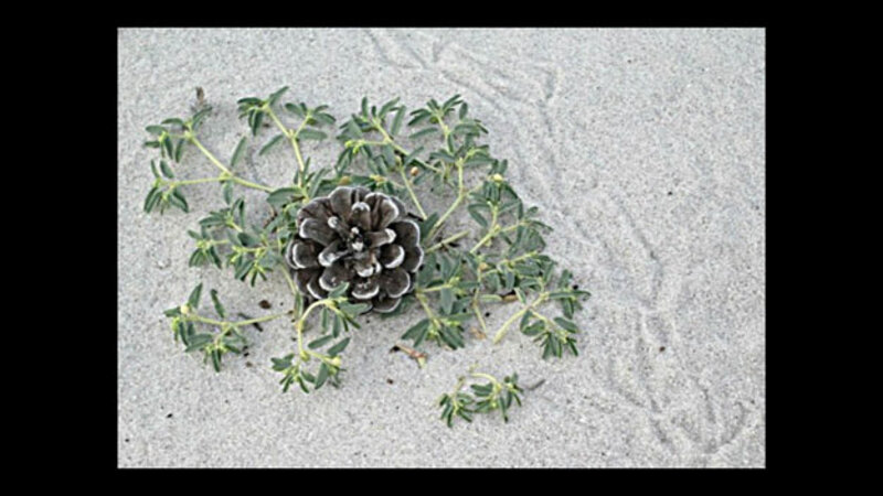 LBI Before Sandy - September 2012 