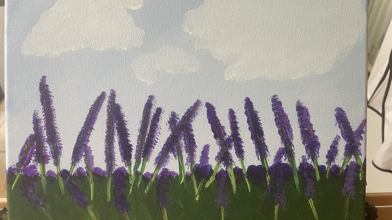 Lavender flowers in a field with clouded sky