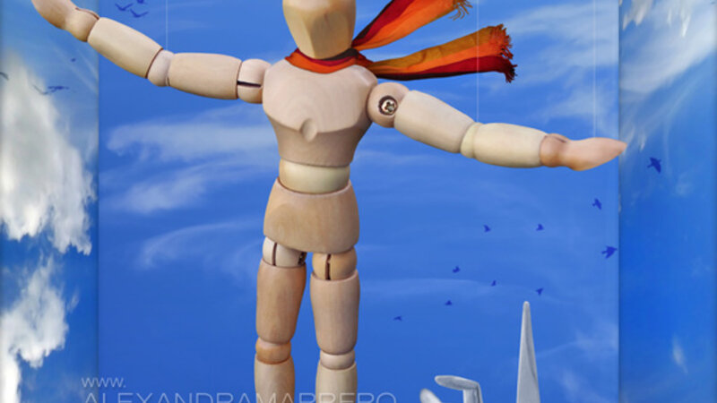 Learning to Fly