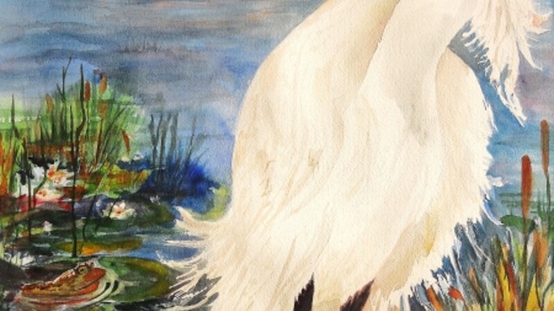 Let's Talk About It, eh!