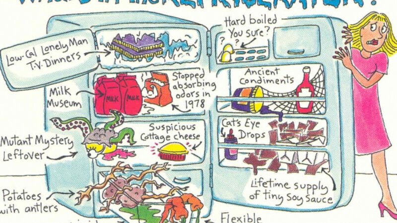 What's In The Refrigerator?