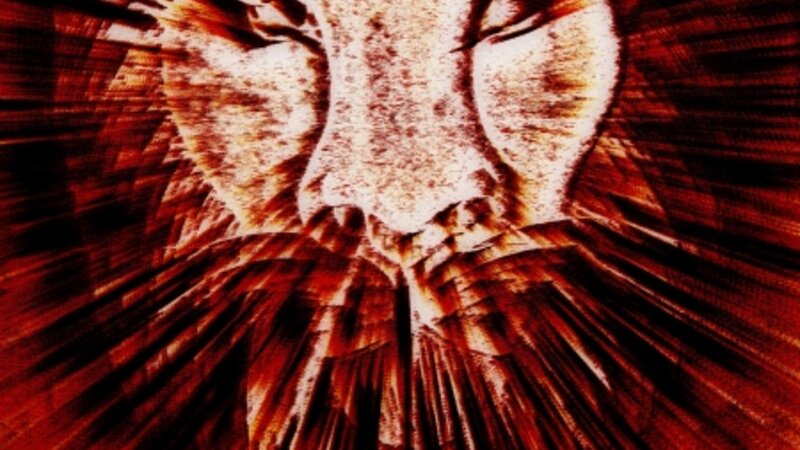Lion Head