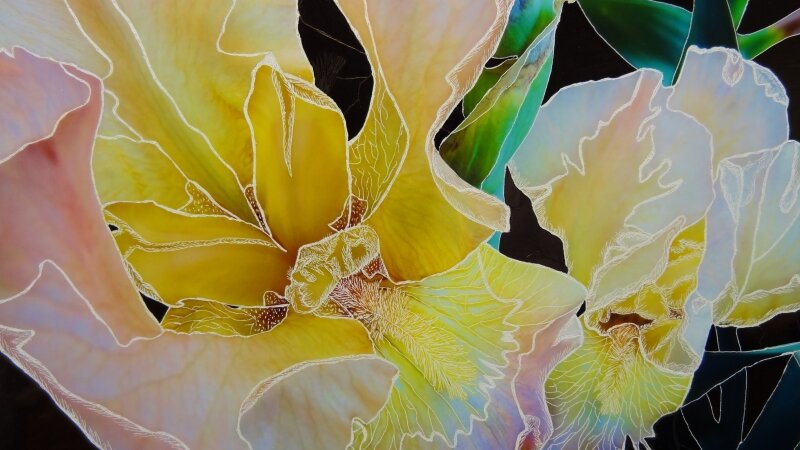 A Vision of Two Iris