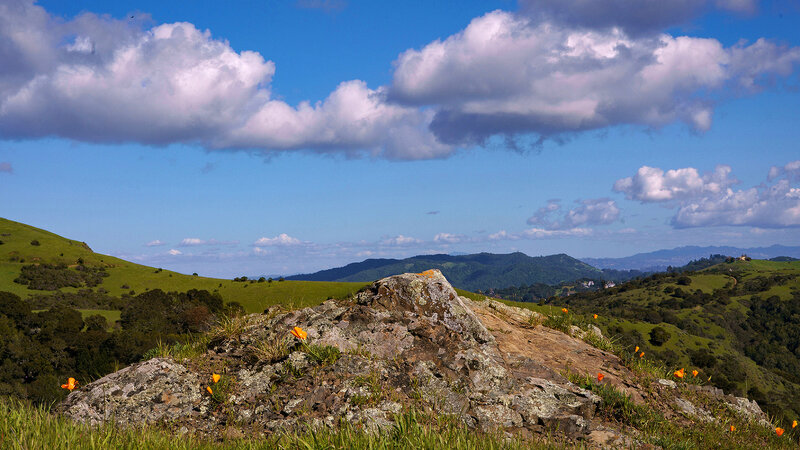 clouds in blue sky, green hills tan rock, orange poppies