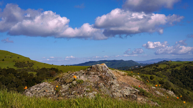 clouds in blue sky, green hills tan rock, orange poppies