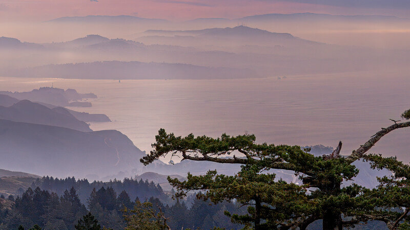 Looking Toward San Francisco from Mt. Tamalpais