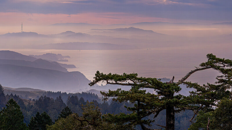 Looking Toward San Francisco from Mt. Tamalpais