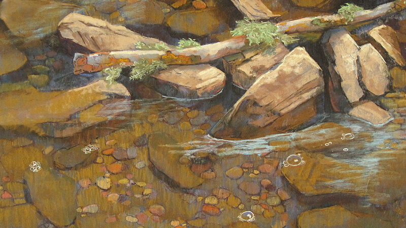 Rocks and sticks in clear creek