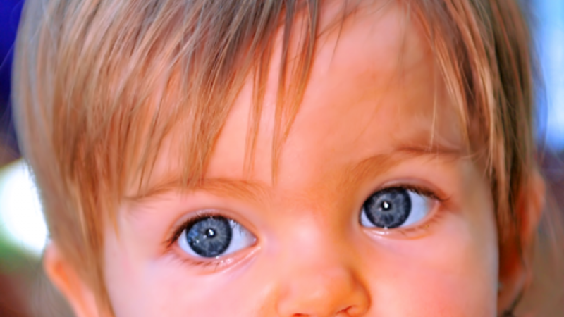 "eyes"