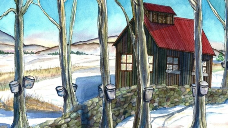 Maple Sugaring in Vermont