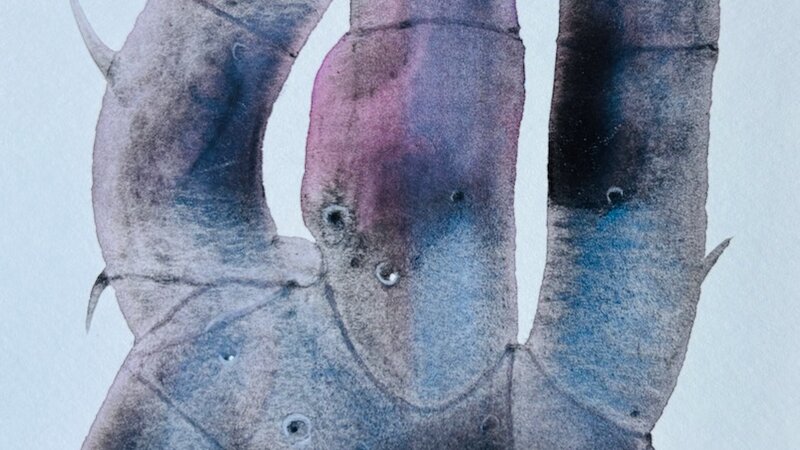Painting in watercolor and colored pencil, from 2021. 