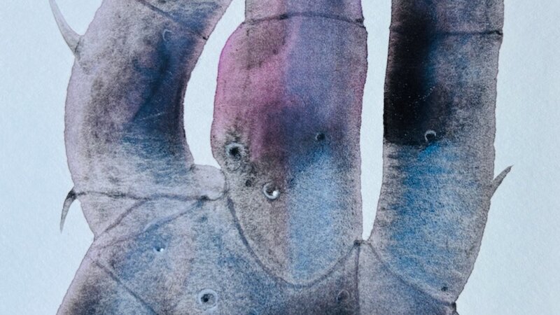 Painting in watercolor and colored pencil, from 2021. 