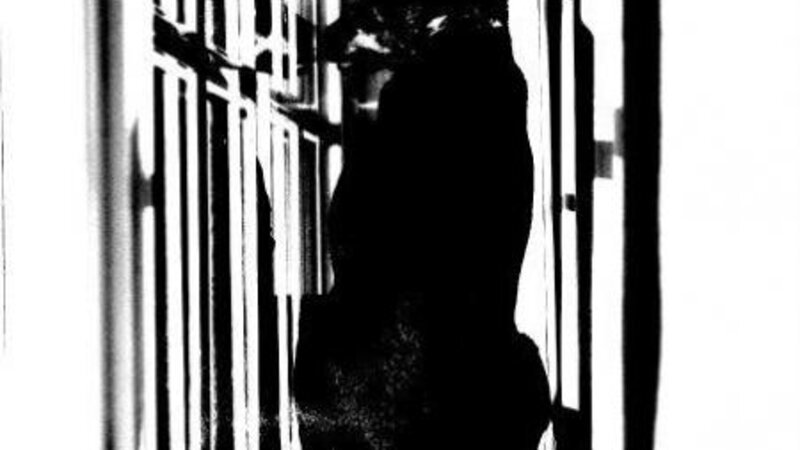 Max Cat