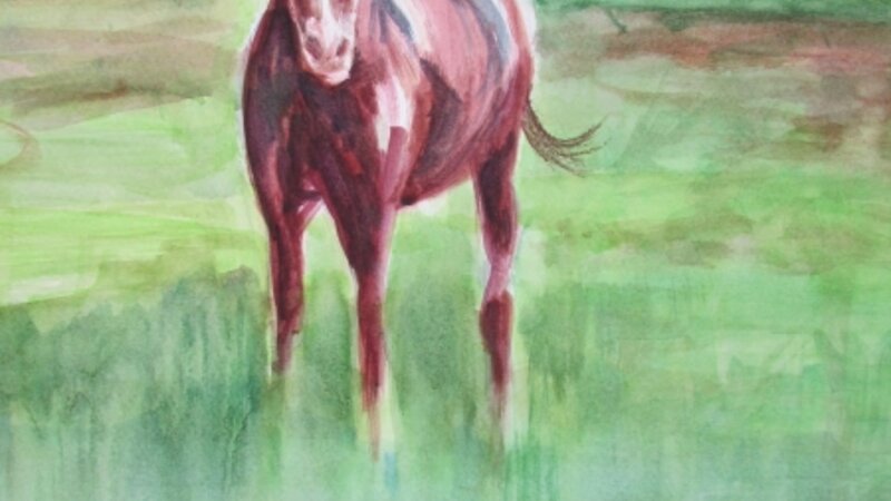 Meadow Marsh Serenity