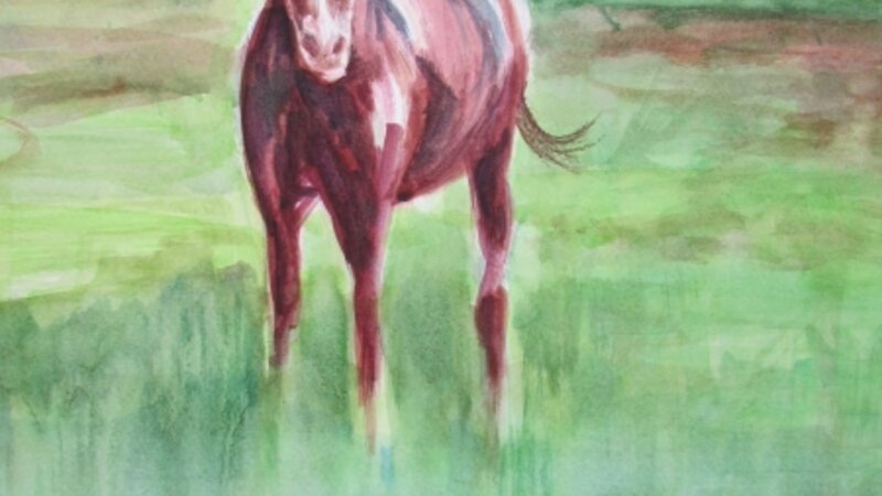 Meadow Marsh Serenity