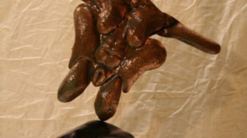 Moth Goddess Meets Turtle Woman