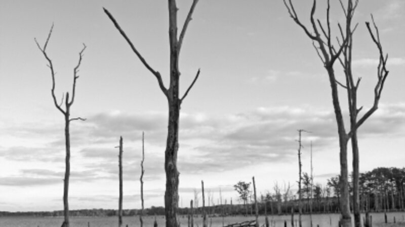 Dusk on the Manasquan Reservoir