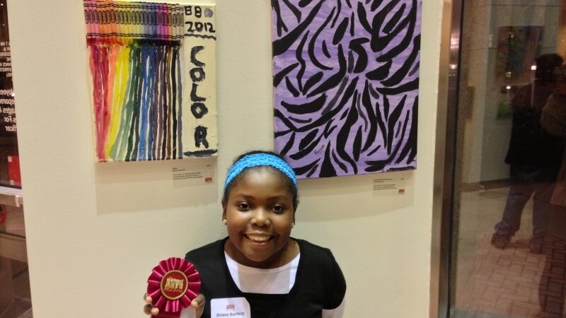 Color and Purple Zebra Print For My Room