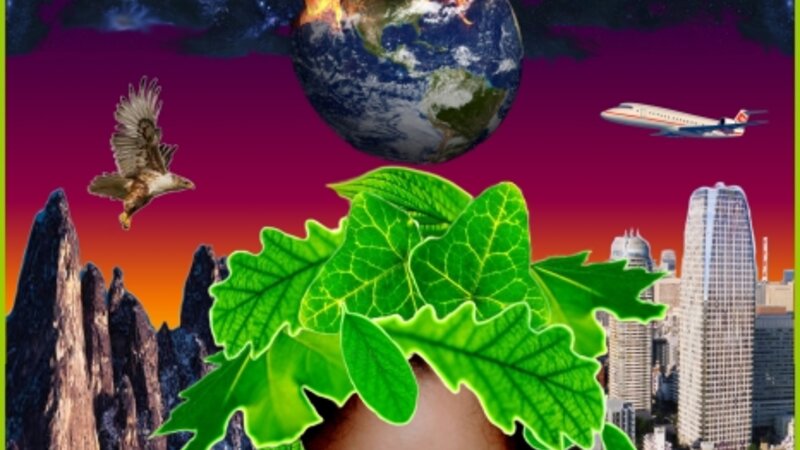 Nature-Made Versus Man-Made